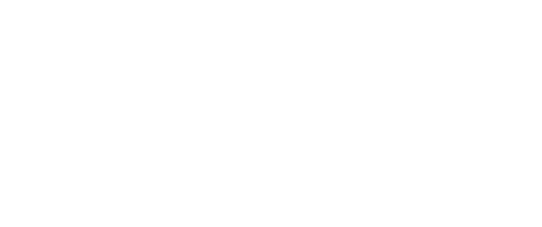 JAPAN QUALITY TO THE WORLD